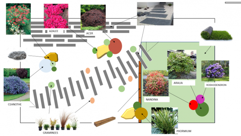 plan -implantation-jardin-exterieur