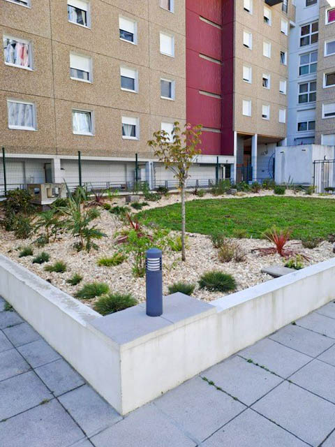 Amenagement de massif avenue de Choisy à Paris